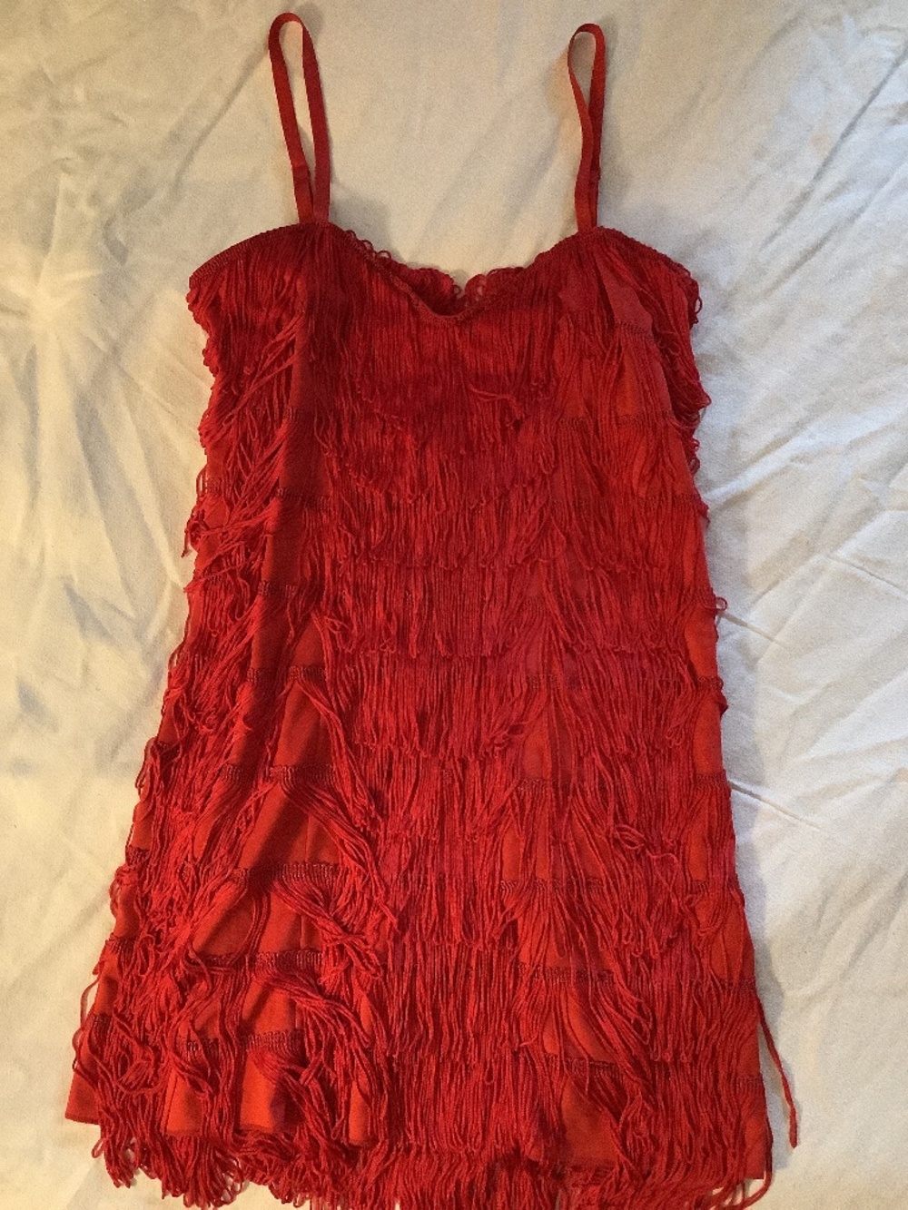Fringe flapper dress